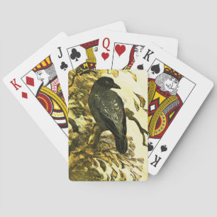 Baraja De Cartas Fila de época encaramada en una rama de Theo van H