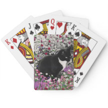 Filas en flores II - Gato de Kitty Tuxedo
