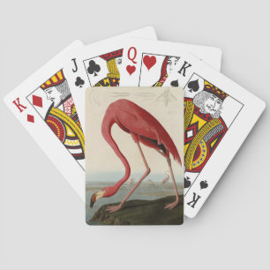 Baraja De Cartas Flamingo americano de los pájaros de los Estados U