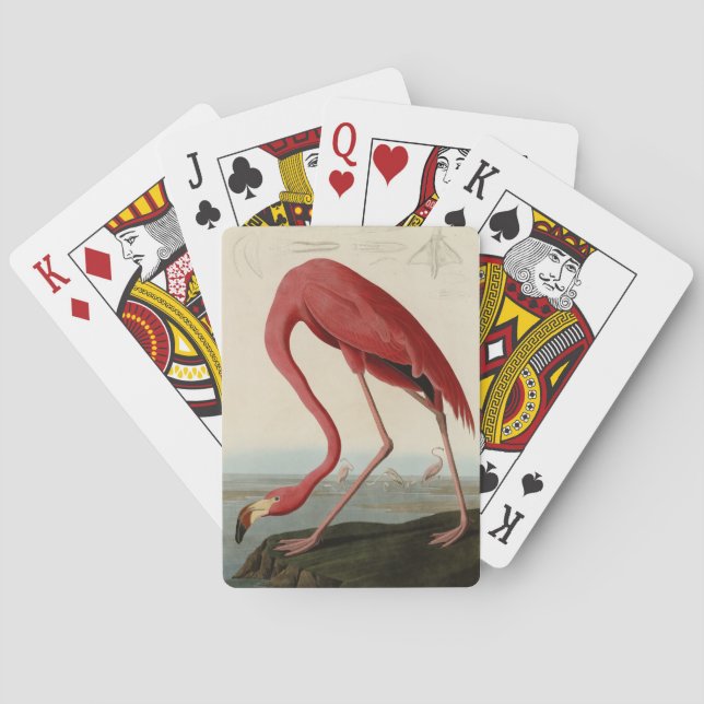 Baraja De Cartas Flamingo americano de los pájaros de los Estados U (Reverso)