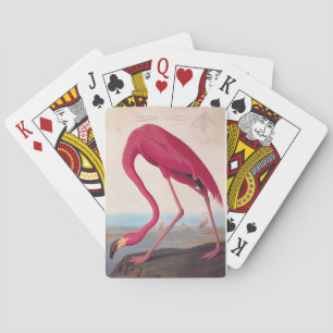 Baraja De Cartas Flamingo rosa americano Audubon