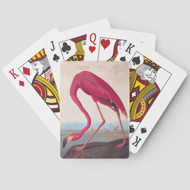 Baraja De Cartas Flamingo rosa americano Audubon (Reverso)
