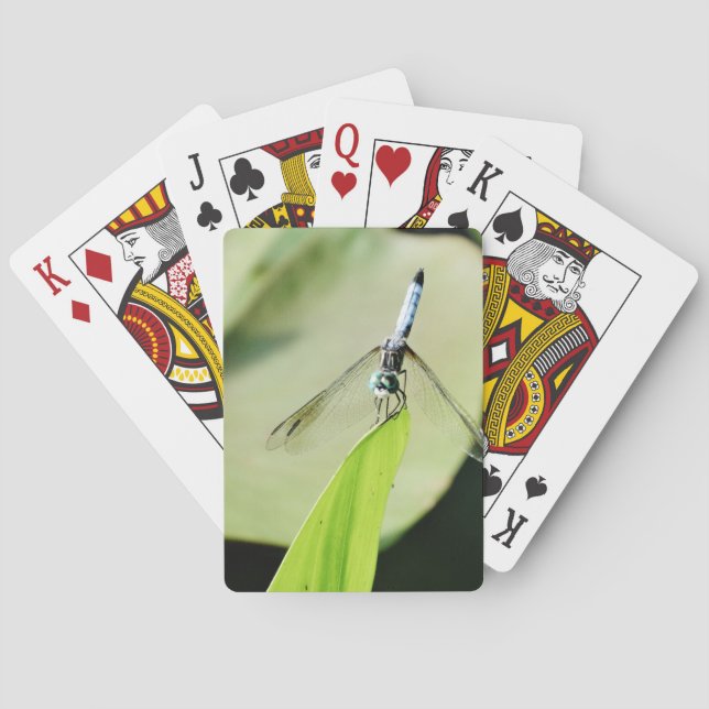 Baraja De Cartas Flauta azul sobre una hoja verde (Reverso)