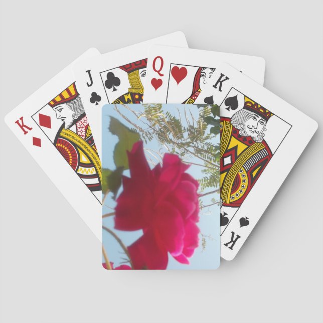 Baraja De Cartas Flor Celestial: Una Rosa Contra el Cielo (Reverso)