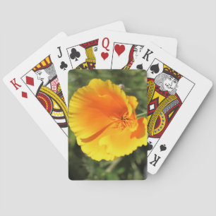 Baraja De Cartas Flor de amapola de California
