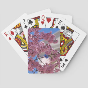 Baraja De Cartas Flor de Cerezo Sakura Americana