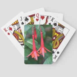 Baraja De Cartas Flor de Fuchsia Roja delgada floral