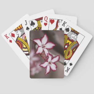 Baraja De Cartas Flor de Impala Lily Adenium Miltiflorum