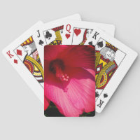 Flor de las tarjetas de juego Flower Fotografía de