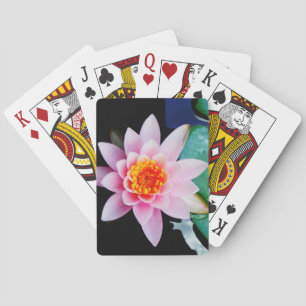 Baraja De Cartas Flor de lirio de agua rosada y naranja caliente
