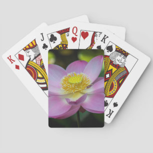 Baraja De Cartas Flor de loto florecida, Indonesia