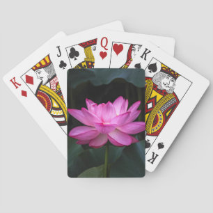 Baraja De Cartas Flor de Lotus