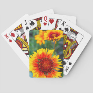 Baraja De Cartas Flor de manta aka susana de ojos marrones en Glaci