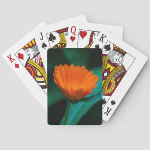 Baraja De Cartas flor de margarita naranja