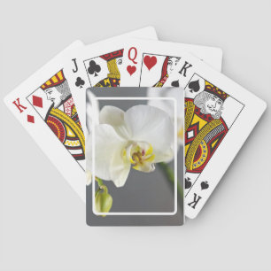 Baraja De Cartas Flor de orquídea blanca