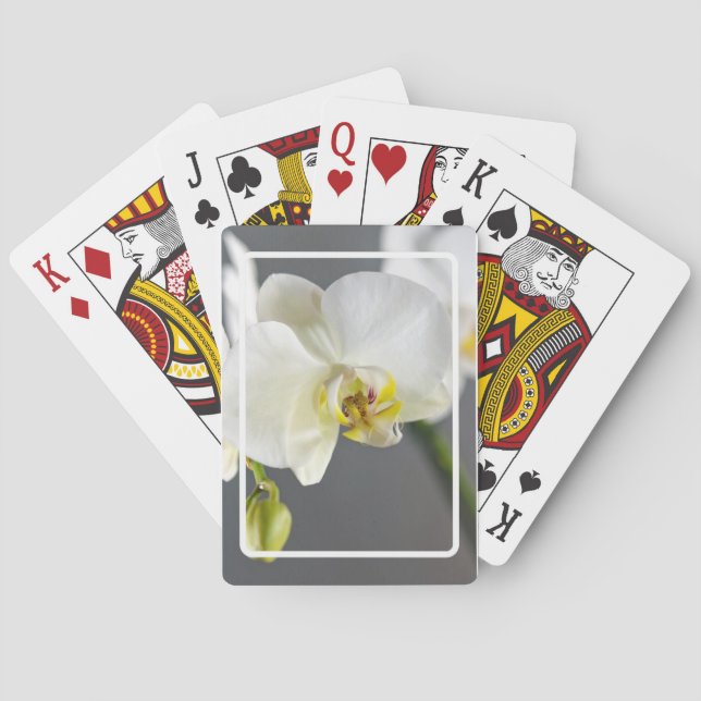 Baraja De Cartas Flor de orquídea blanca (Reverso)