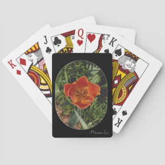 Baraja De Cartas flor de primavera roja