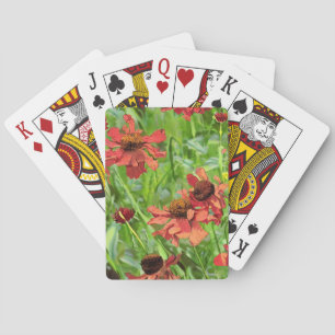 BARAJA DE CARTAS FLOR DE RUDBECKIA ROJA