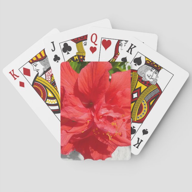 Baraja De Cartas Flor doble roja hibiscus (Reverso)