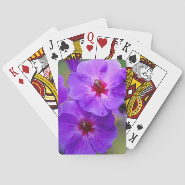 Baraja De Cartas Flor púrpura (Reverso)