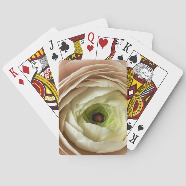 Baraja De Cartas Flor Ranunculus (Reverso)