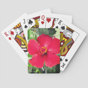 Baraja De Cartas Flor roja de Hibiscus Rosa-sinensis
