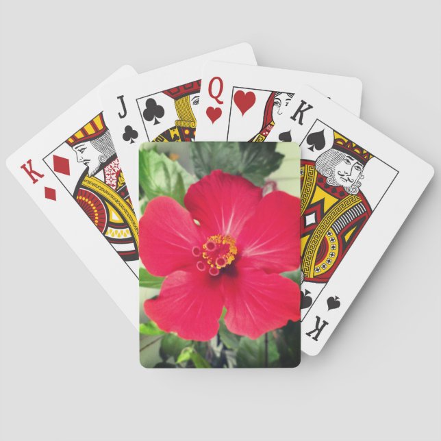 Baraja De Cartas Flor roja de Hibiscus Rosa-sinensis (Reverso)