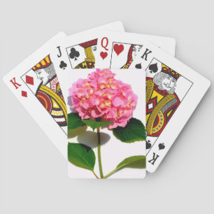 Baraja De Cartas Flor rosa hidrato rosa flor rosa floral
