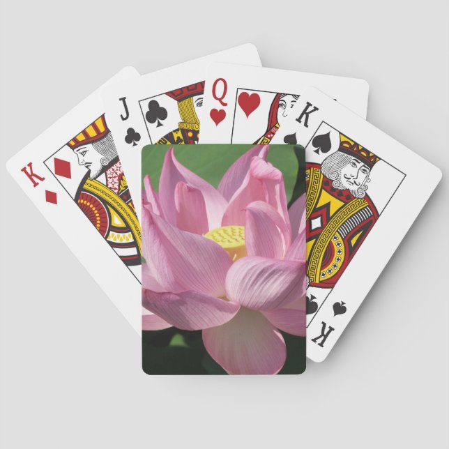 Baraja De Cartas Flor rosa Lotus IV (Reverso)