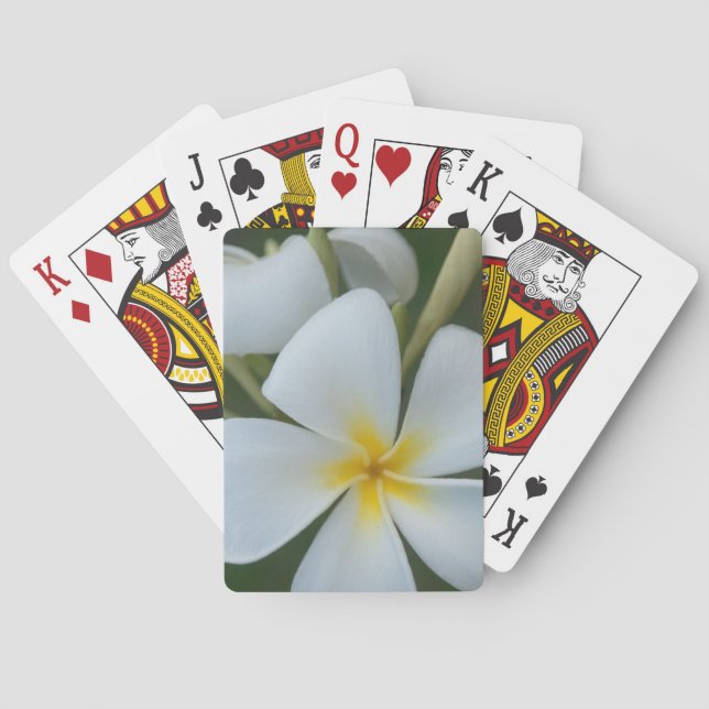 Baraja De Cartas Flor Tropical Blanca De Fiyi (Reverso)