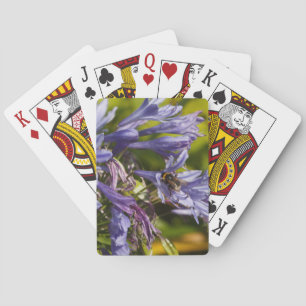 Baraja De Cartas Flor y abeja agapanthus