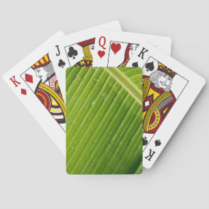Baraja De Cartas Flora Dominica 1