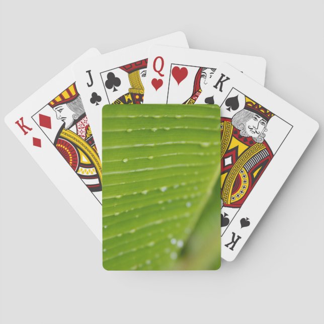 Baraja De Cartas Flora Dominica 2 (Reverso)