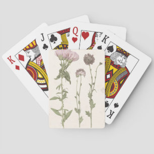 Baraja De Cartas Floraciones presionadas - rosa