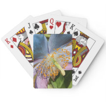 Floral de amapola azul