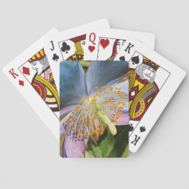 Baraja De Cartas Floral de amapola azul