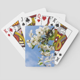 Baraja De Cartas Florecimiento de la primavera del precio.