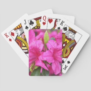 Baraja De Cartas flores azaleas rosas, 杜 鹃 花