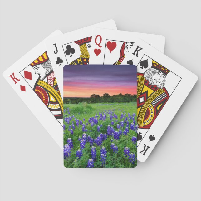 Baraja De Cartas Flores | Bluebonnets en Sunset Texas (Reverso)