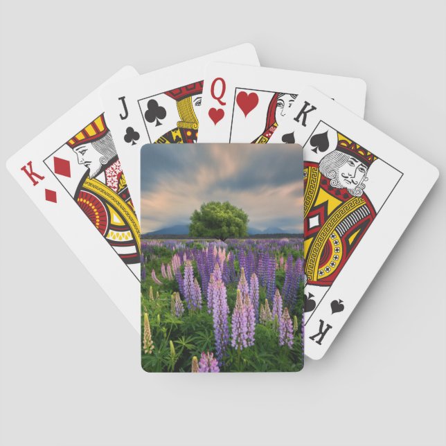 Baraja De Cartas Flores | Campo de la lupa en Nueva Zelanda (Reverso)