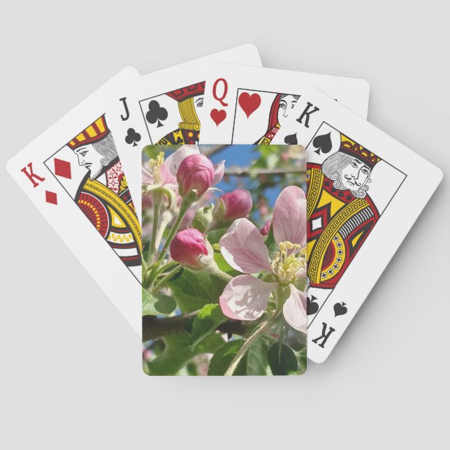 Baraja De Cartas Flores de Apple de primavera (Reverso)