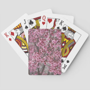 Baraja De Cartas Flores de cerezo Sakura rosadas flotando