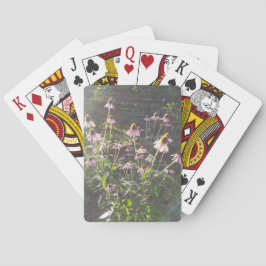 Baraja De Cartas Flores de Echinacea al Sol