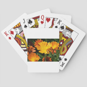 Baraja De Cartas Flores de Flor de Amapola Arte Paz Amor Destino