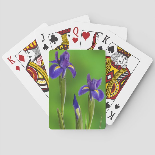 Baraja De Cartas Flores de Iris (Reverso)