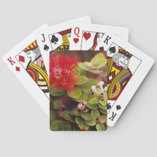 Baraja De Cartas Flores de Lehua en volcanes de Hawái