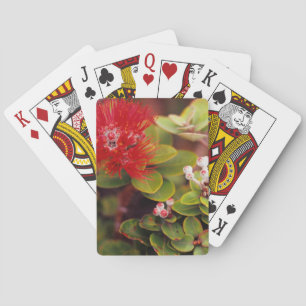 Baraja De Cartas Flores de Lehua en volcanes de Hawaii