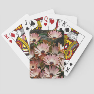Baraja De Cartas Flores de margarita rosada africana