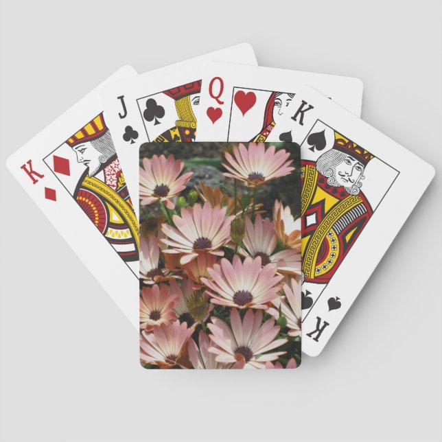 Baraja De Cartas Flores de margarita rosada africana (Reverso)