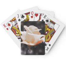 Flores de Rosa románticas